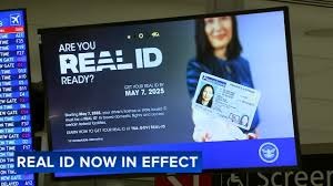 Can You Fly Domestically with Just a BIR ID via LBC Tracking Support?